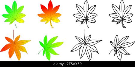 Insieme di foglie d'acero, sfondo bianco. Foto Stock