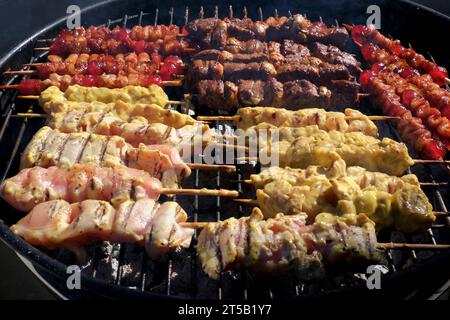 Kebab di carne diversi su braai Foto Stock