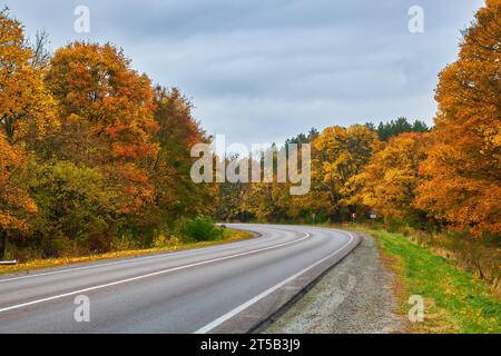 Imbarcati in un pittoresco viaggio lungo una vecchia strada asfaltata che si snoda attraverso un'affascinante foresta autunnale gialla. Le vivaci tonalità del fogliame Foto Stock