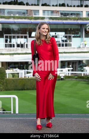 Ascot, Berkshire, Regno Unito. 4 novembre 2023. Gli appassionati di automobilismo arrivano all'ippodromo di Ascot in una mattinata di sole per lo spettacolare ippodromo per famiglie con fuochi d'artificio. Oggi è il primo incontro di salti della stagione 2023/2024. Credito: Maureen McLean/Alamy Live News Foto Stock