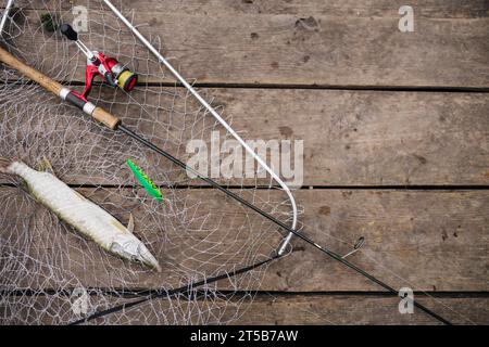 Pesce appena pescato all'interno della rete da pesca con canna da pesca Foto Stock