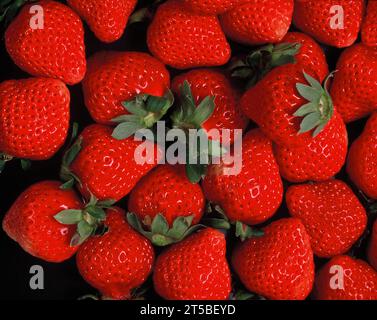 Natura morta. Primo piano del cibo. Fragole fresche. Foto Stock