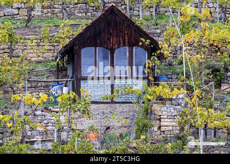 Weinberghäuschen im Weinberg am Neckar, Stoccarda-Hofen. // 03.11.2023, Stoccarda, Baden-Württemberg, Deutschland, Europa *** Vineyard cottage in the Vineyard on the Neckar, Stoccarda Hofen 03 11 2023, Stoccarda, Baden Württemberg, Germania, Europe Credit: Imago/Alamy Live News Foto Stock