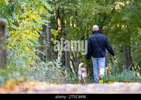 Herbst im Neckartal a Stoccarda. // 03.11.2023, Stoccarda, Baden-Württemberg, Deutschland, Europa *** Autunno nella valle del Neckar a Stoccarda 03 11 2023, Stoccarda, Baden Württemberg, Germania, Europa crediti: Imago/Alamy Live News Foto Stock