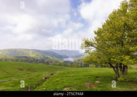 Punto panoramico Lago de la Lande a la Bresse lungo la Route des Cretes nella regione dei Vosgi in Francia Foto Stock