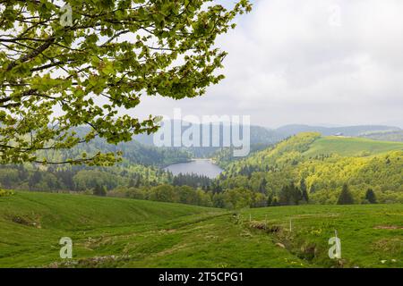 Punto panoramico Lago de la Lande a la Bresse lungo la Route des Cretes nella regione dei Vosgi in Francia Foto Stock