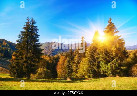 Immergiti nella serenata dorata dell'autunno mentre ammiri le maestose Cime dei Carpazi adornate dalla vibrante tavolozza della natura. L'aria è fille Foto Stock