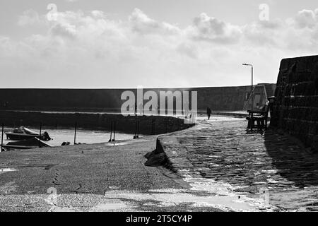 Lyme Regis Peral del Dorset Jurassic Coast Dorset Foto Stock