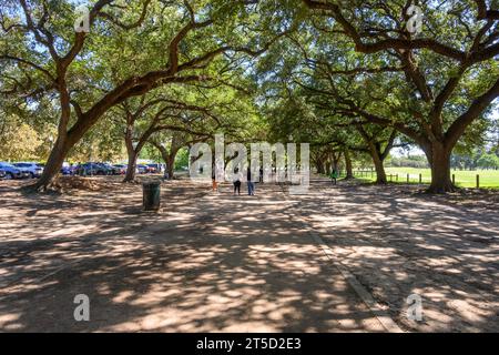 Houston, Texas, USA - 8 ottobre 2023: Marvin Taylor Exercise Trail. L'Hermann Park a Houston. Texas, Stati Uniti Foto Stock