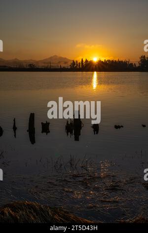 Alba sul delta del fiume Snohomish a Everett Washington USA Foto Stock