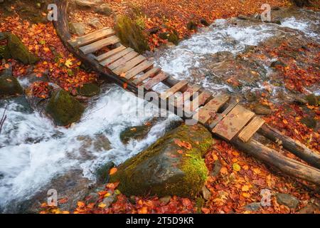 Immergiti nella serenità dell'autunno mentre incontri una pittoresca scena forestale. Un piccolo ruscello di montagna si snoda graziosamente attraverso il vibrano Foto Stock