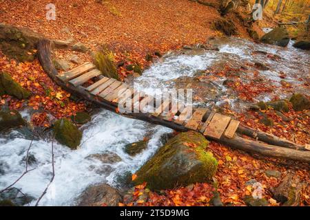 Immergiti nella serenità dell'autunno mentre incontri una pittoresca scena forestale. Un piccolo ruscello di montagna si snoda graziosamente attraverso il vibrano Foto Stock