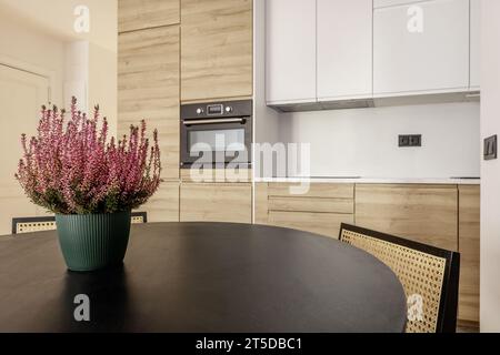 Moderna cucina a vista con pareti rivestite con mobili in legno senza mani, elettrodomestici in vetro nero integrati Foto Stock