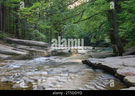 Fiume di montagna Mumlava, parco nazionale di Krkonose, Repubblica Ceca, pomeriggio d'estate. Il sole splende nel flusso del fiume sotto la cascata di Mumlava. Foto Stock