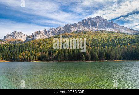 Bosco autunnale di larici lungo un lago nelle Dolomiti Foto Stock