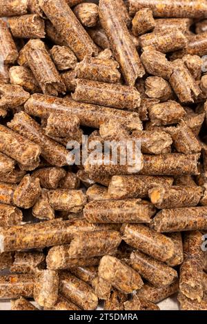 messa a fuoco selettiva, pellet di legno di biomassa combustibile ecologico per stufe Foto Stock