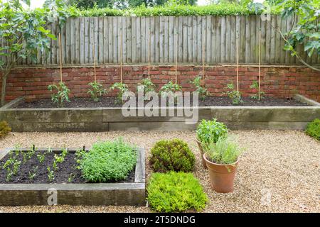Piccolo giardino all'inglese con piante di erbe e pomodori che crescono in letti rialzati in legno con un paesaggio duro, Regno Unito Foto Stock