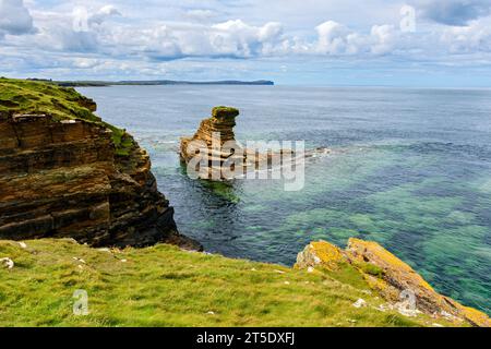 Lo stack marino Tower o'Men o'Mey, St John's Point, vicino al villaggio di Mey, Caithness, Scozia, Regno Unito. Dunnet Head in lontananza. Foto Stock