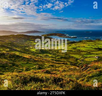 La mattina presto a Darrynane Bay, Ring of Kerry, penisola di Iveragh, Caherdaniel, Contea di Kerry, Irlanda Foto Stock