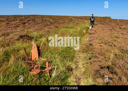 Un camminatore sul John o'Groats Trail vicino a Duncansby Head, Caithness, Scozia, Regno Unito. Vecchio aratro abbandonato in primo piano. Foto Stock