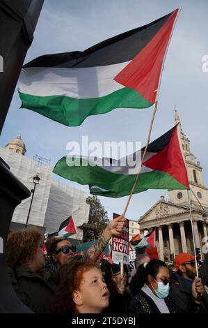 Raduno a favore della Palestina per chiedere un cessate il fuoco a Gaza. 4 novembre 2023 Foto Stock