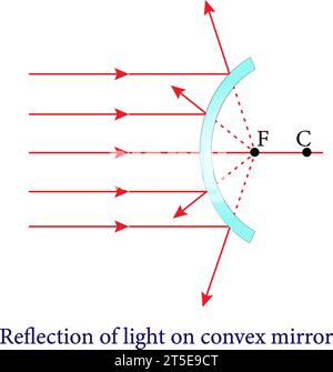 Il riflesso da specchi convessi e concavi, riflessi e specchi sferici, ottiche.illustrazione vettoriale. Illustrazione Vettoriale