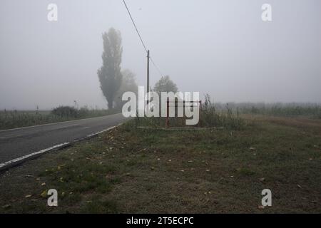 Stretta strada delimitata da alcuni alberi e trincee con dighe in una giornata nebbiosa nella campagna italiana Foto Stock