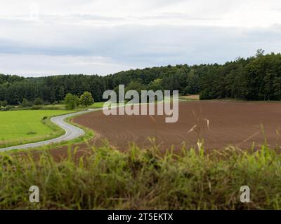 Paesaggio rurale con un campo agricolo e una strada vuota in mezzo. Una foresta di conifere è all'orizzonte. Campagna idilliaca in Germania. Foto Stock