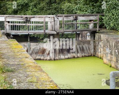 Vecchio cancello con grandi elementi in legno. L'acqua ha una superficie verde a causa della crescita di anatre sul canale stazionario. L'antica struttura è solida. Foto Stock