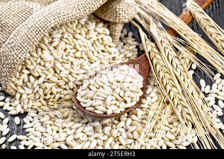 Scritto in un cucchiaio, in un sacco di rapa e sul tavolo, gambi con orecchie di grano sullo sfondo di una tavola di legno nero Foto Stock