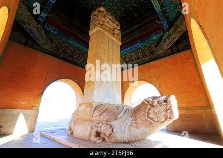 L'enorme tartaruga di pietra che trasporta un'enorme tavoletta di pietra, nelle tombe orientali della dinastia Qing, il 15 dicembre 2013, ZunHua, provincia di hebei, Cina. Foto Stock