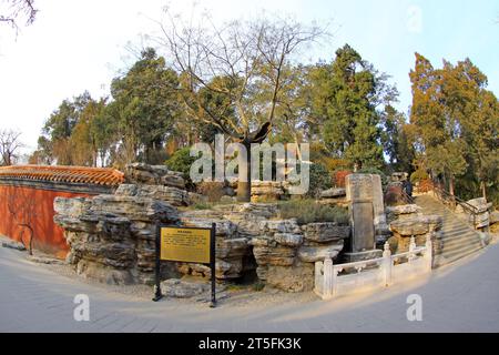 PECHINO - 22 DICEMBRE: Luogo in cui chongzhen, l'ultimo imperatore della dinastia Ming, si impiccò nel parco Jingshan, 22 dicembre 2013, Pechino, CH Foto Stock