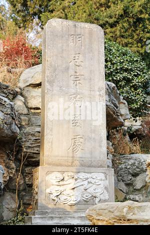 PECHINO - 22 DICEMBRE: Luogo in cui chongzhen, l'ultimo imperatore della dinastia Ming, si impiccò nel parco Jingshan, 22 dicembre 2013, Pechino, CH Foto Stock