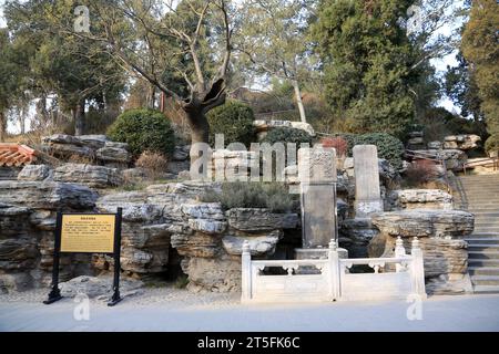 PECHINO - 22 DICEMBRE: Luogo in cui chongzhen, l'ultimo imperatore della dinastia Ming, si impiccò nel parco Jingshan, 22 dicembre 2013, Pechino, CH Foto Stock