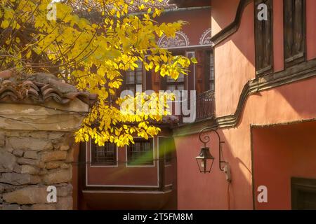 Plovdiv, Bulgaria, case medievali colorate, albero giallo autunnale, strada nella città vecchia Foto Stock