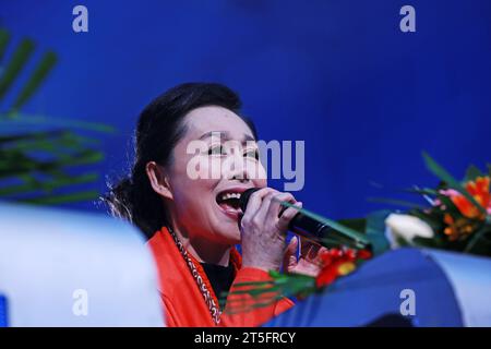 CONTEA DI LUANNAN - 4 GENNAIO: Il famoso artista Feng Yuping PingJu si esibisce sul palco, nel grande teatro ChengZhaoCai, 4 gennaio 2014, luannan Foto Stock