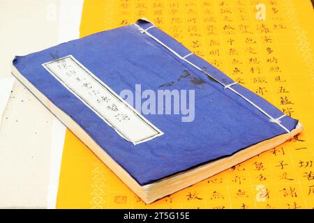 CITTÀ DI TANGSHAN - 6 FEBBRAIO: Il libro degli esercizi di calligrafia del calligrafo Chen Peiyu, il 6 febbraio 2014, città di Tangshan, provincia di Hebei, Cina. Foto Stock