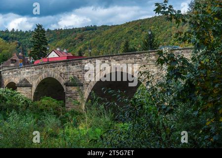 Ponte di pietra a Bardo - piccola città nella parte sud-occidentale della Polonia di "Gory Sowie" Foto Stock