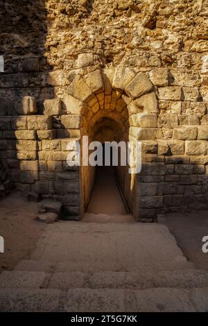 Porta di passaggio e tunnel ad arco lastricato che conduce a uno degli ingressi che conduce alle scale dell'antico anfiteatro romano di Mérida, con una volta Foto Stock