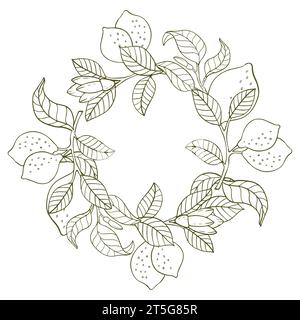 Composizione di ramoscelli di limone e limoni sotto forma di corona. Composizione agrumata in stile grafico. Illustrazione vettoriale isolata su uno sfondo bianco Illustrazione Vettoriale