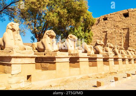 Antico complesso di templi di Karnak. Vicolo dei Rams. Luxor, Egitto – 21 ottobre 2023 Foto Stock