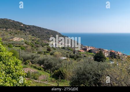 Vista elevata del borgo medievale di Borgio Verezzi con il mare sullo sfondo in primavera, Savona, Liguria, Italia Foto Stock
