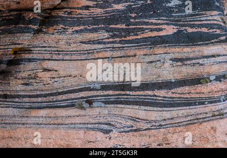 Roccia metamorfica gneiss grigia e rosa Foto Stock