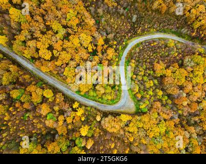 Trossachs, Scozia. Vista aerea della strada forestale che curva tra i boschi nei colori autunnali accanto a Loch Achray nel distretto di Stirling. Foto Stock