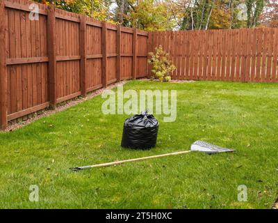 Rastrello da giardino e foglie spazzate in un cestino sul prato Foto Stock