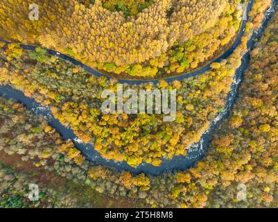 Vista aerea dei colori autunnali accanto al fiume Garbh Uisge nel passo di Leny vicino a Calander nel Trossachs, Scozia, Regno Unito Foto Stock