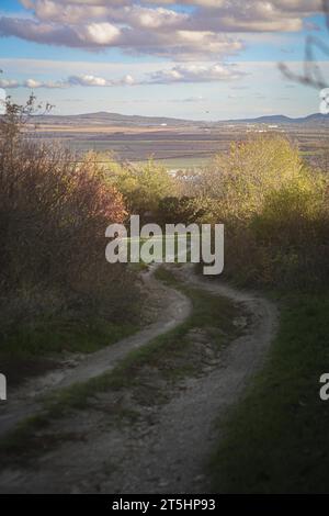 Budapest, Ungheria, Ungheria. 5 novembre 2023. Un sentiero di campagna attraverso le colline dell'Ungheria rurale. (Immagine di credito: © Bianca Otero/ZUMA Press Wire) SOLO USO EDITORIALE! Non per USO commerciale! Foto Stock