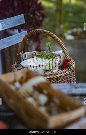 Budapest, Ungheria, Ungheria. 5 novembre 2023. Un tavolo di campagna con un cesto di funghi e un'atmosfera rustica. (Immagine di credito: © Bianca Otero/ZUMA Press Wire) SOLO USO EDITORIALE! Non per USO commerciale! Foto Stock