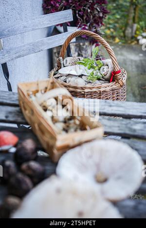 Budapest, Ungheria, Ungheria. 5 novembre 2023. Un tavolo di campagna con un cesto di funghi e un'atmosfera rustica. (Immagine di credito: © Bianca Otero/ZUMA Press Wire) SOLO USO EDITORIALE! Non per USO commerciale! Foto Stock