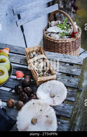 Budapest, Ungheria, Ungheria. 5 novembre 2023. Un tavolo di campagna con un cesto di funghi e un'atmosfera rustica. (Immagine di credito: © Bianca Otero/ZUMA Press Wire) SOLO USO EDITORIALE! Non per USO commerciale! Foto Stock